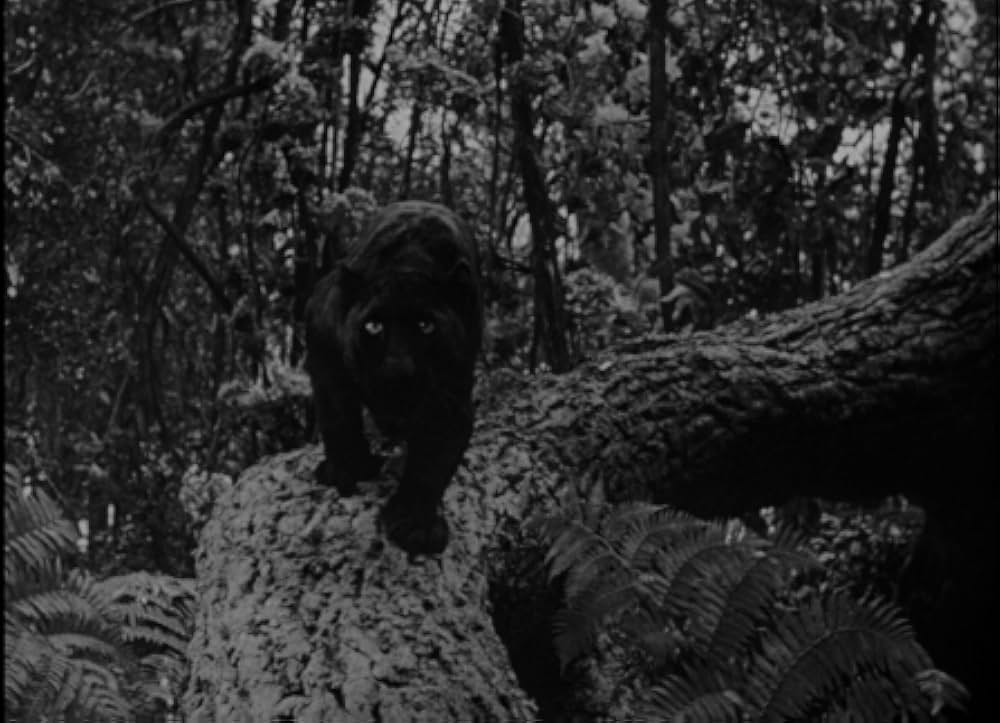 クマオンの人喰虎の画像