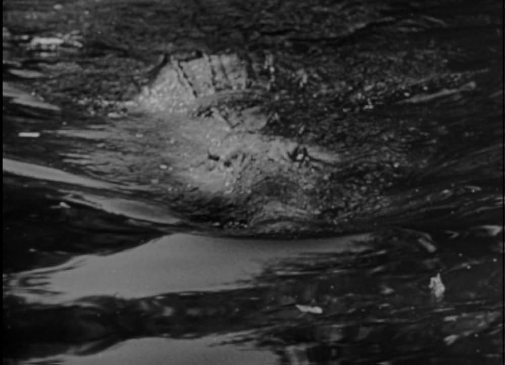 クマオンの人喰虎の画像