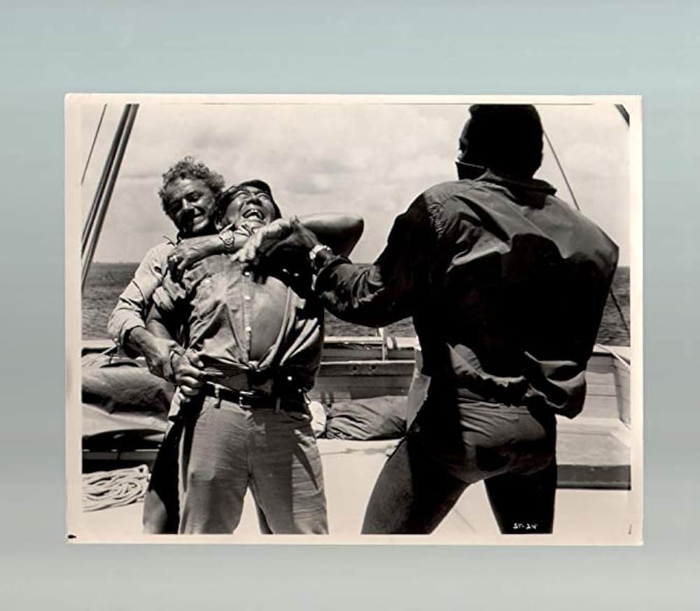 シャーク・トレジャーの画像