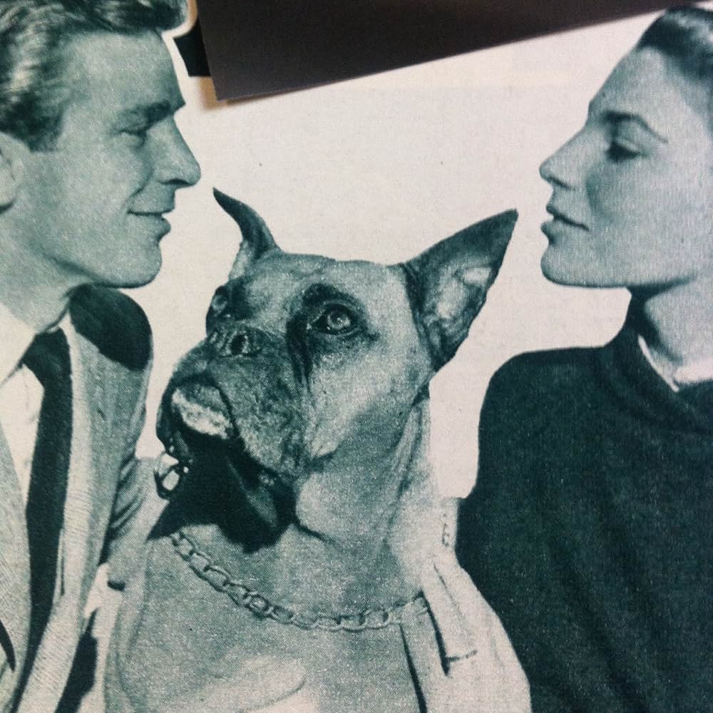 善人は若死するの画像