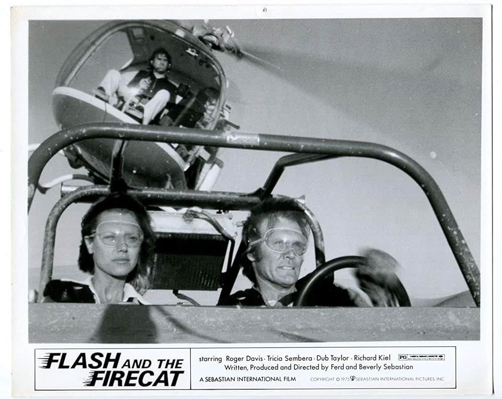 バギーチェイスの画像