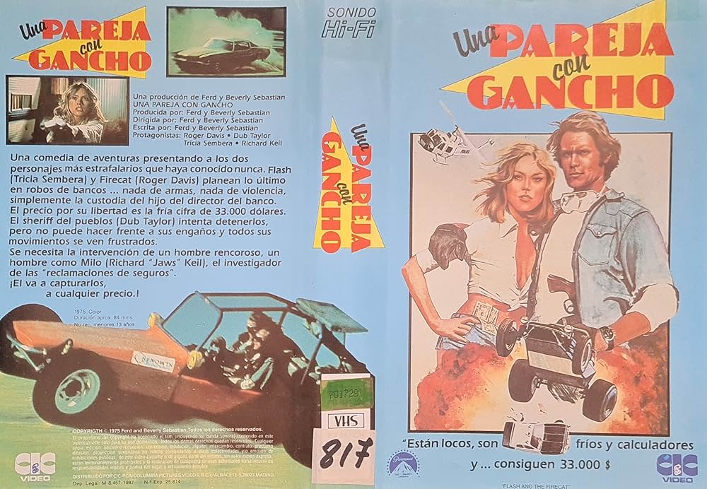 バギーチェイスの画像