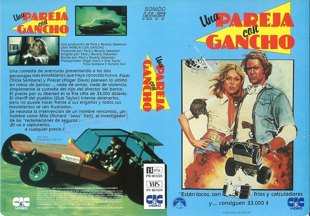 バギーチェイスの画像