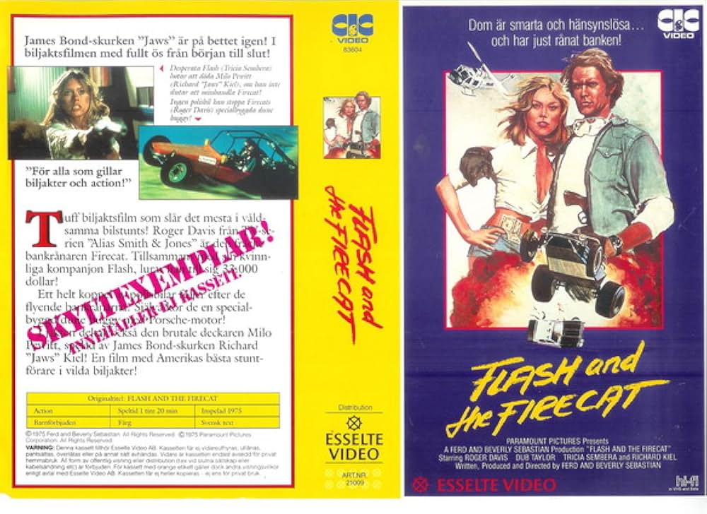 バギーチェイスの画像