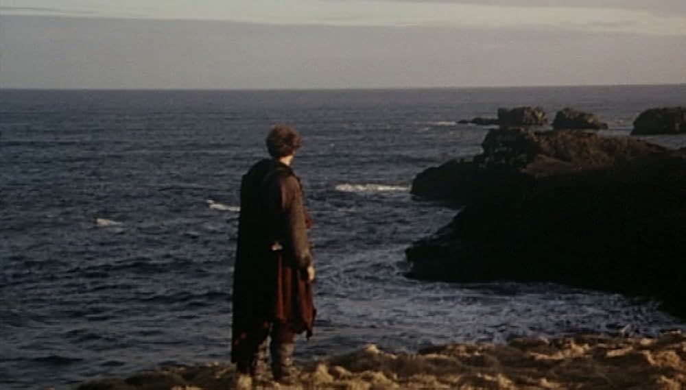 ヴァイキングサーガの画像