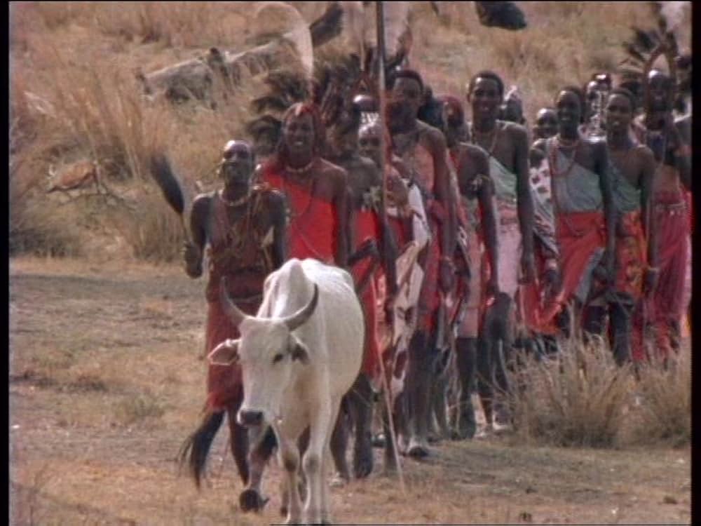 ボーン・ワイルド／サバンナに生きての画像