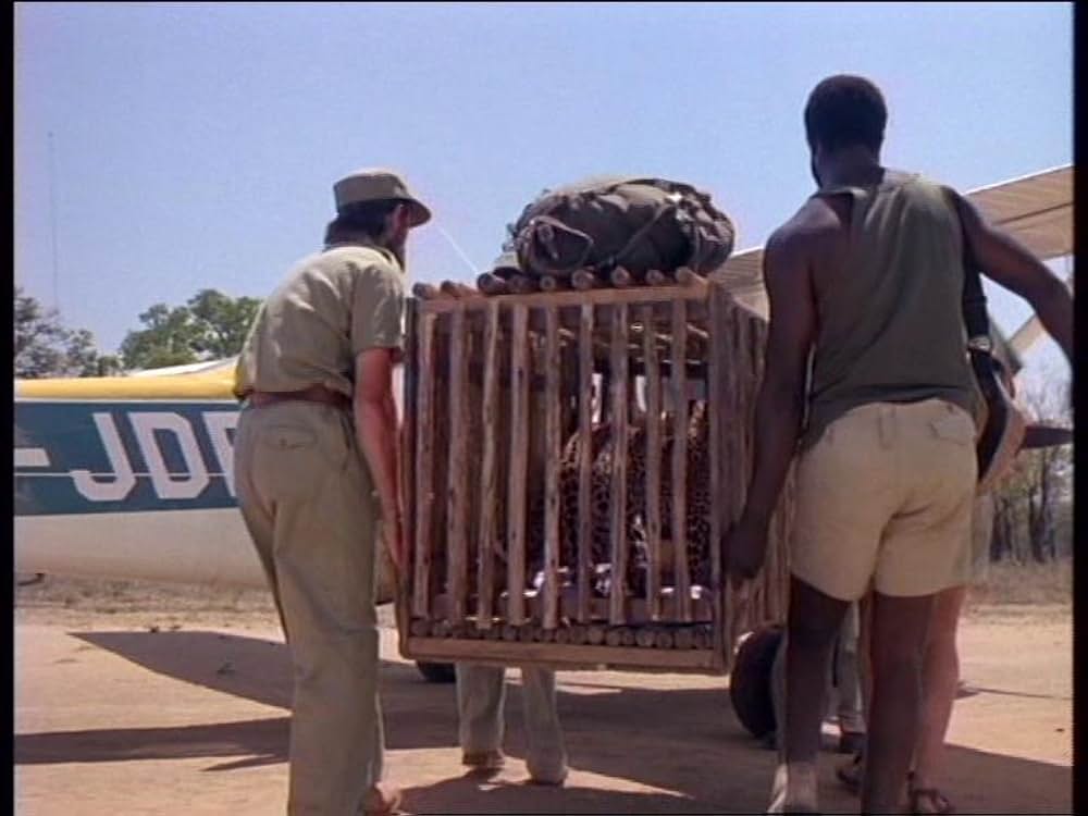 ボーン・ワイルド／サバンナに生きての画像