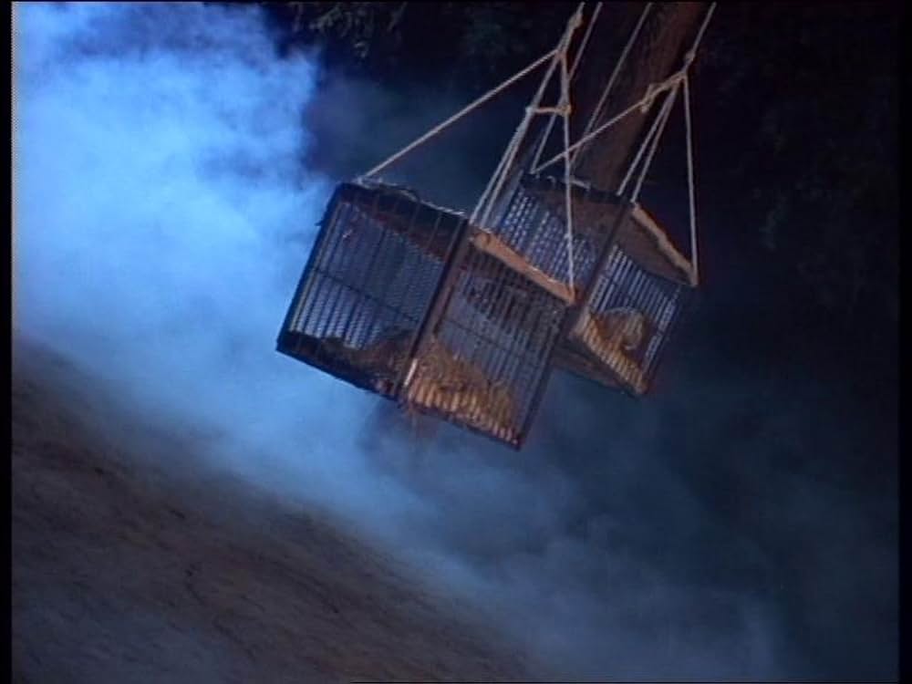 ボーン・ワイルド／サバンナに生きての画像