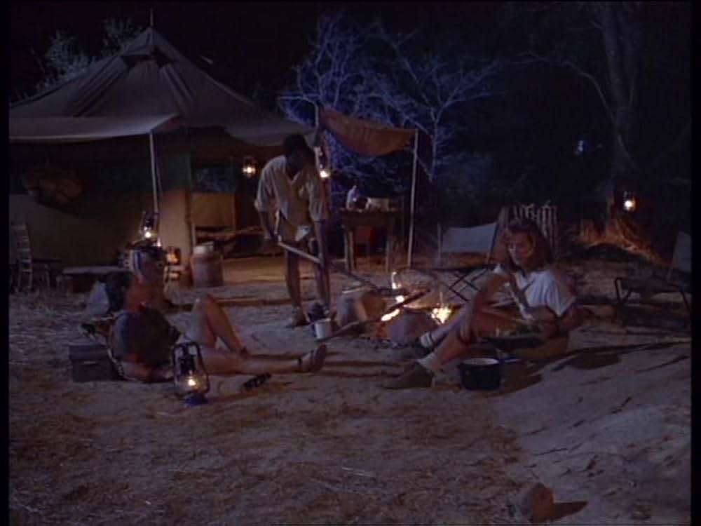 ボーン・ワイルド／サバンナに生きての画像