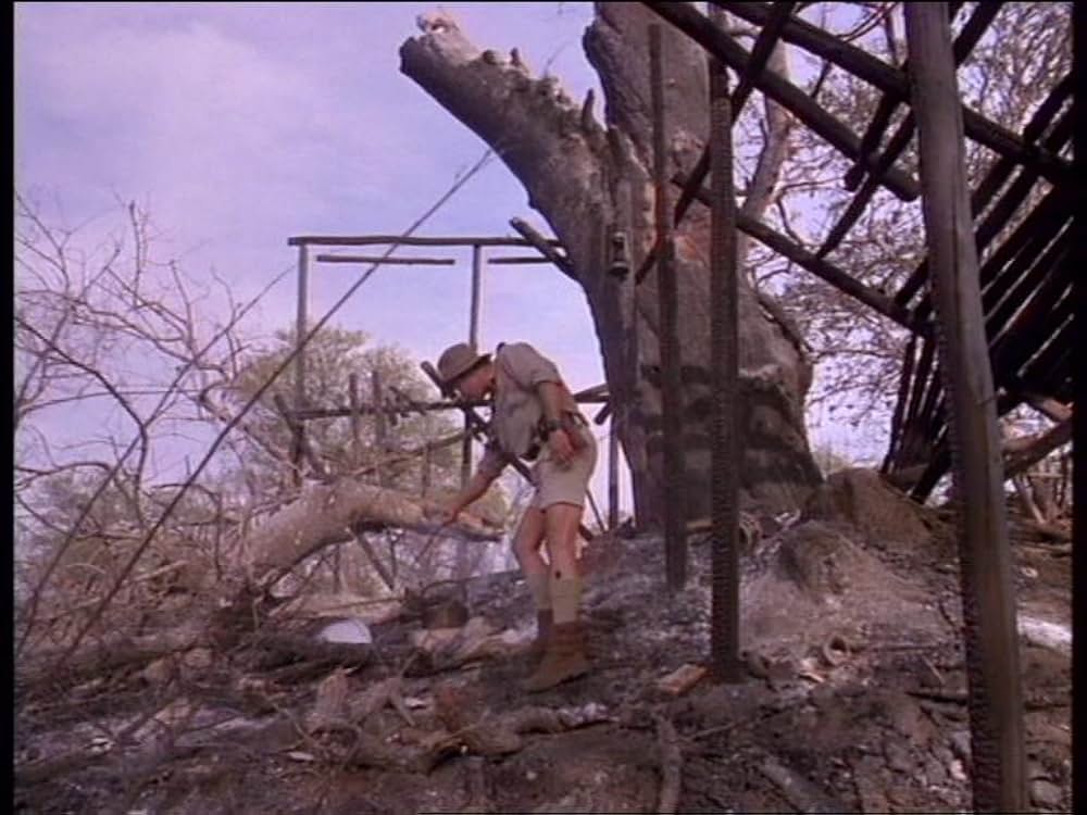 ボーン・ワイルド／サバンナに生きての画像