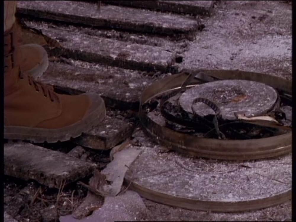 ボーン・ワイルド／サバンナに生きての画像