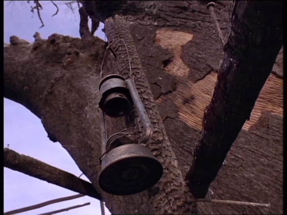 ボーン・ワイルド／サバンナに生きての画像