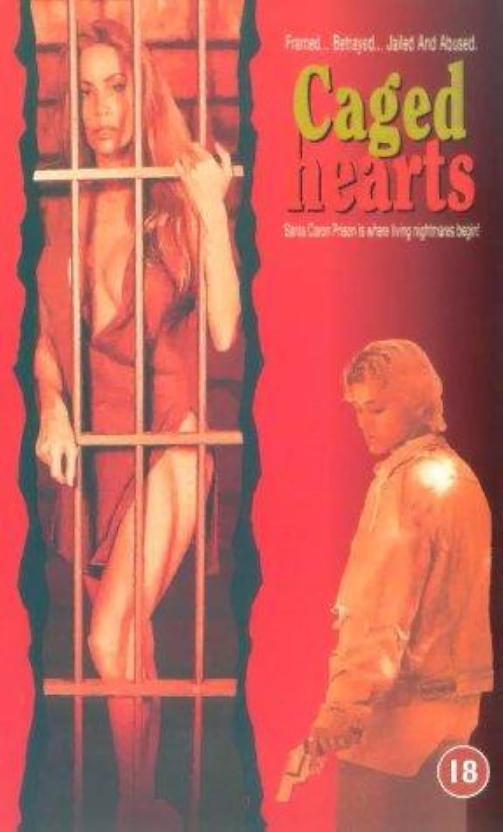 チェーンド・ボディ／非合法女子刑務所の画像