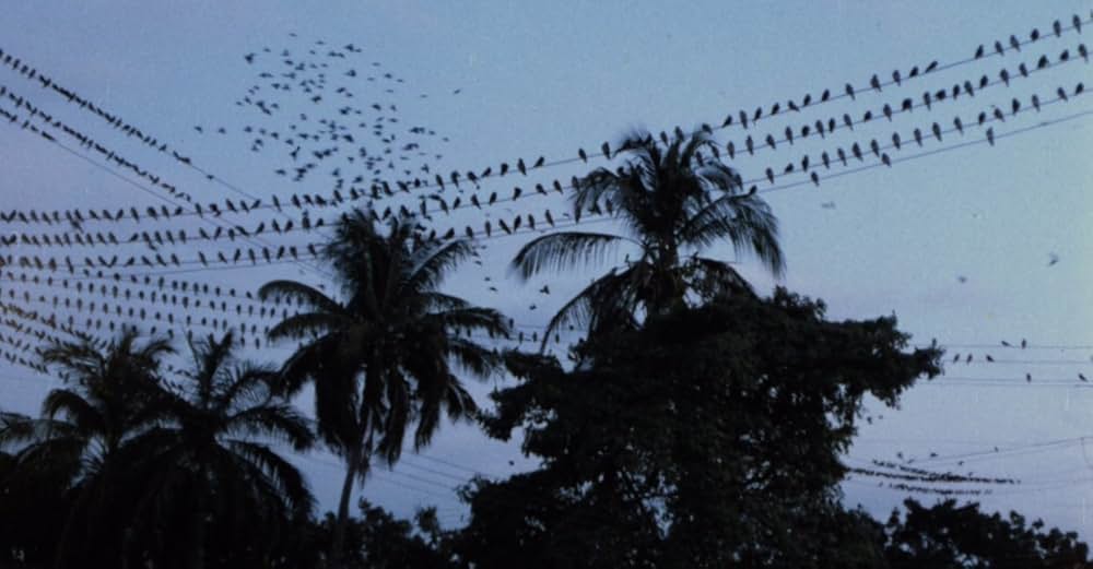 乾いた爪の画像