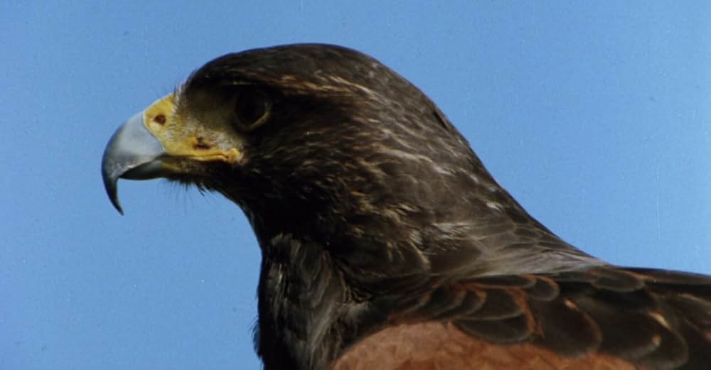 乾いた爪の画像