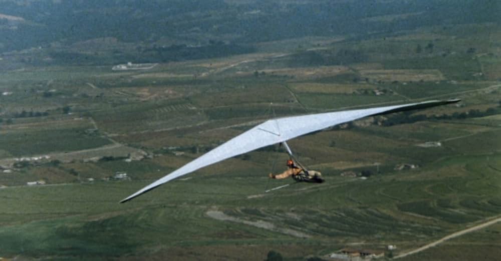 乾いた爪の画像