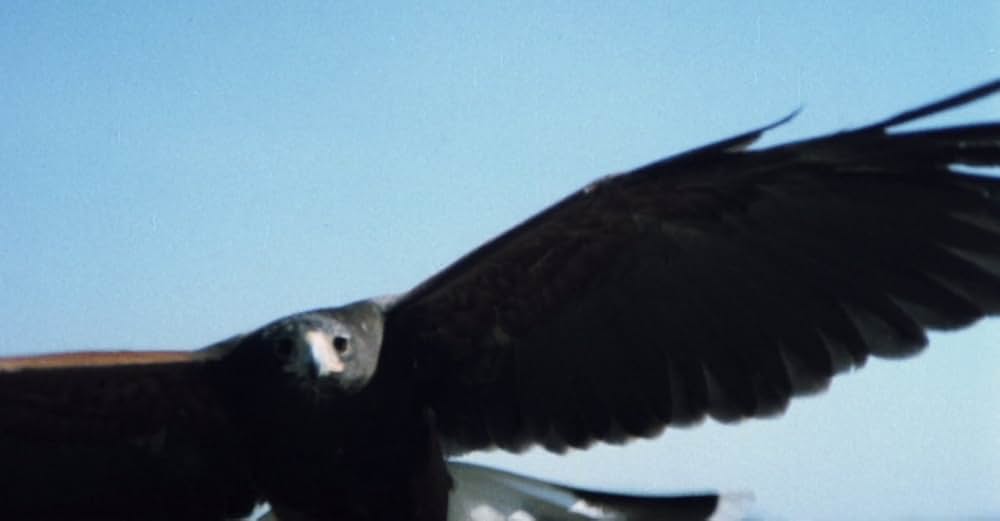 乾いた爪の画像