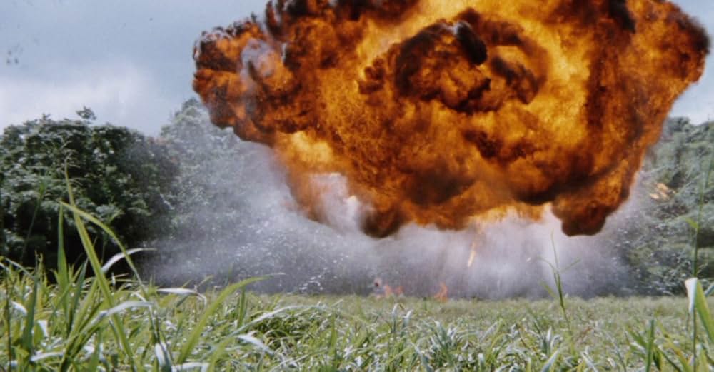 乾いた爪の画像