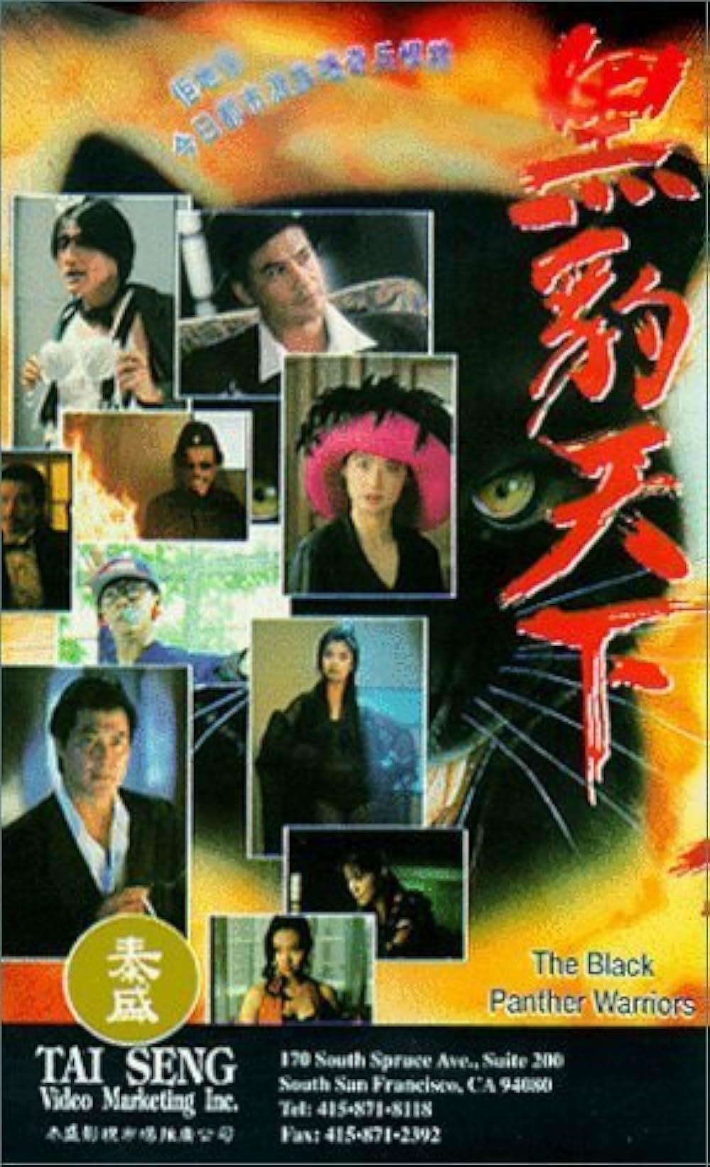 黒豹天下／ブラックパンサーの画像