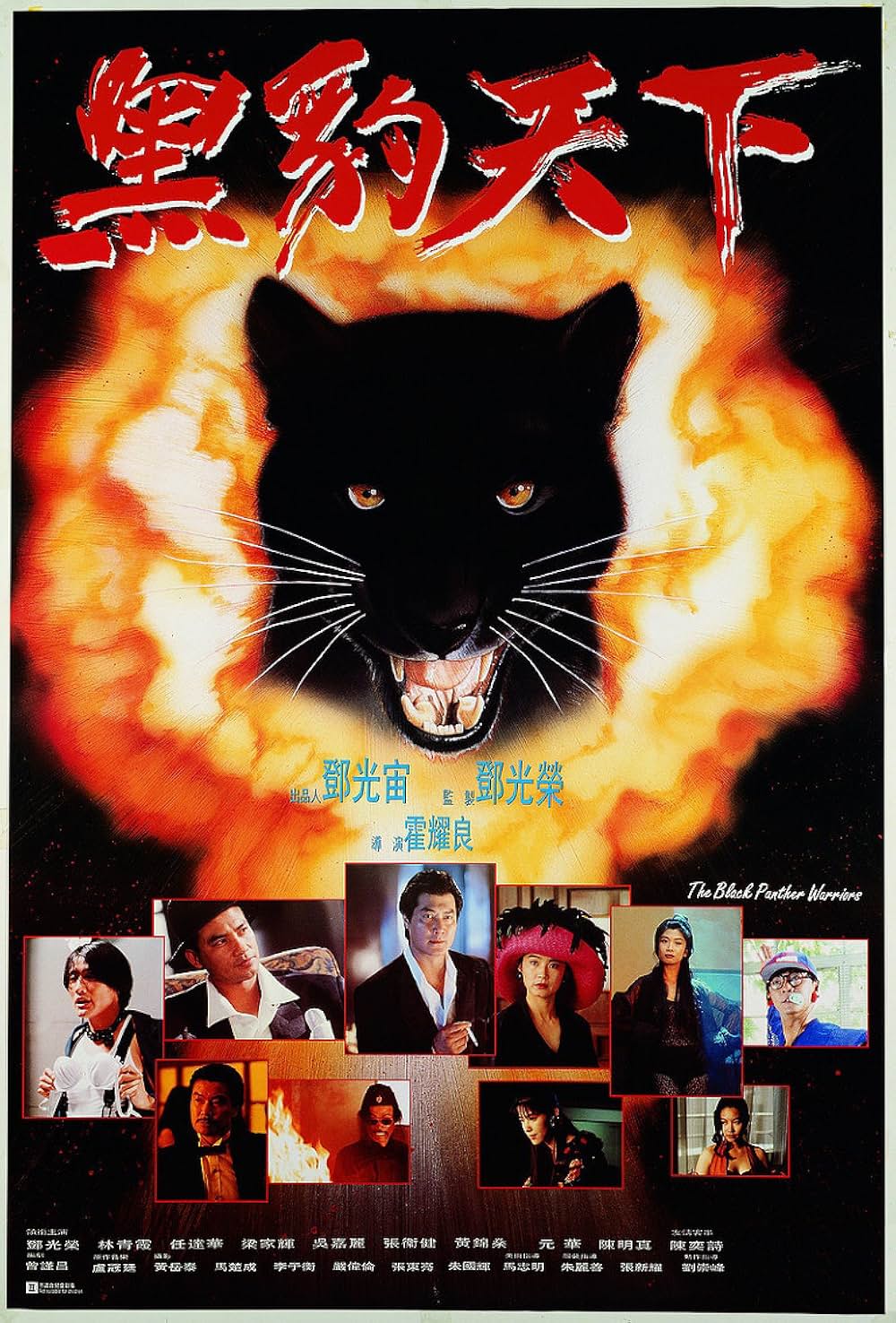 黒豹天下／ブラックパンサーの画像