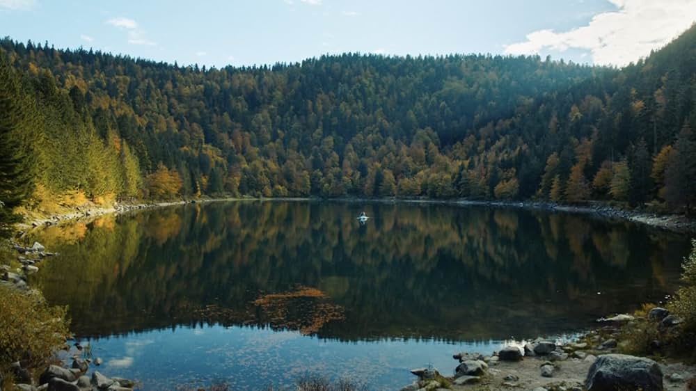 ペルドリックスの画像