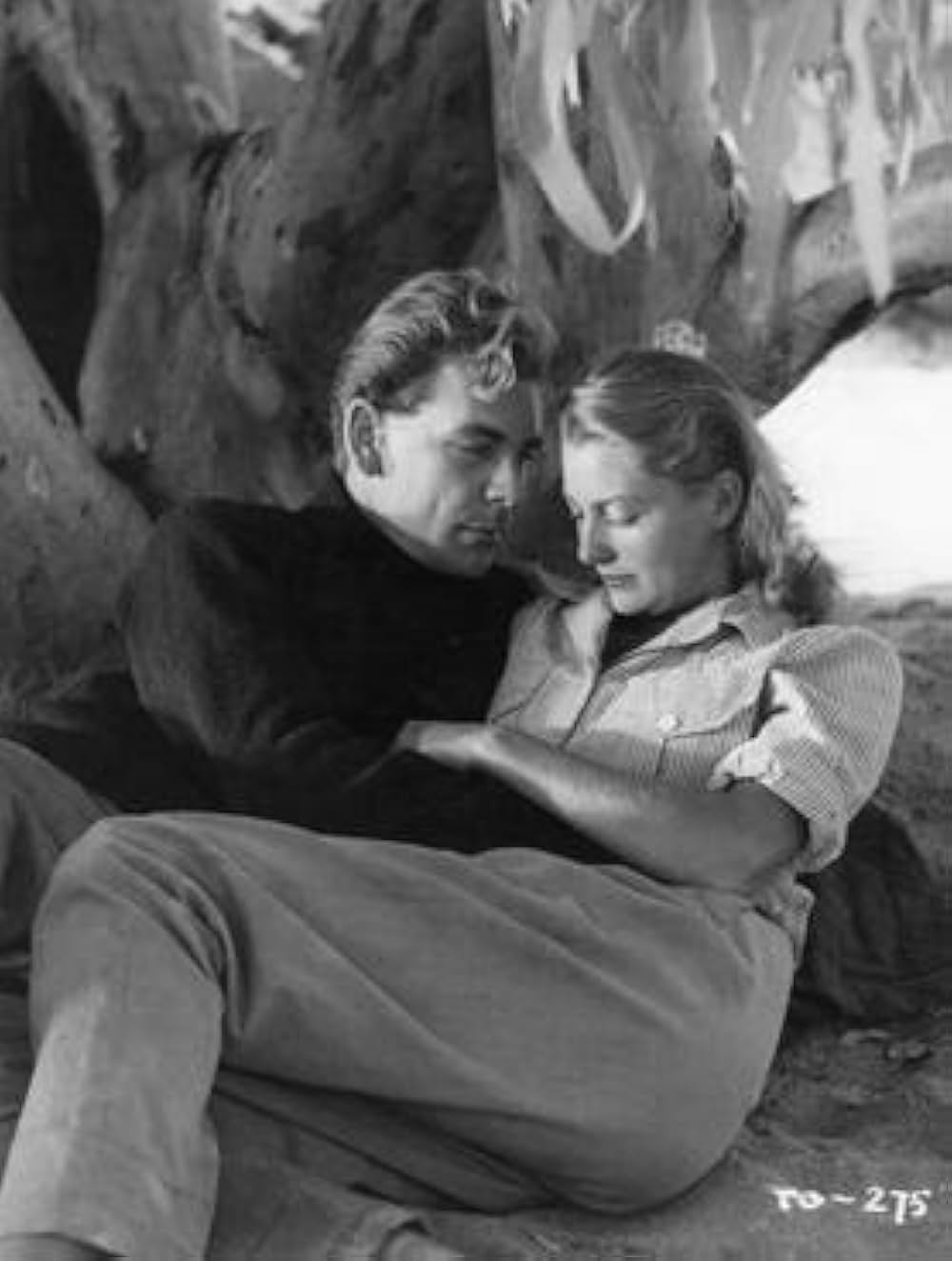 オヴァランダースの画像