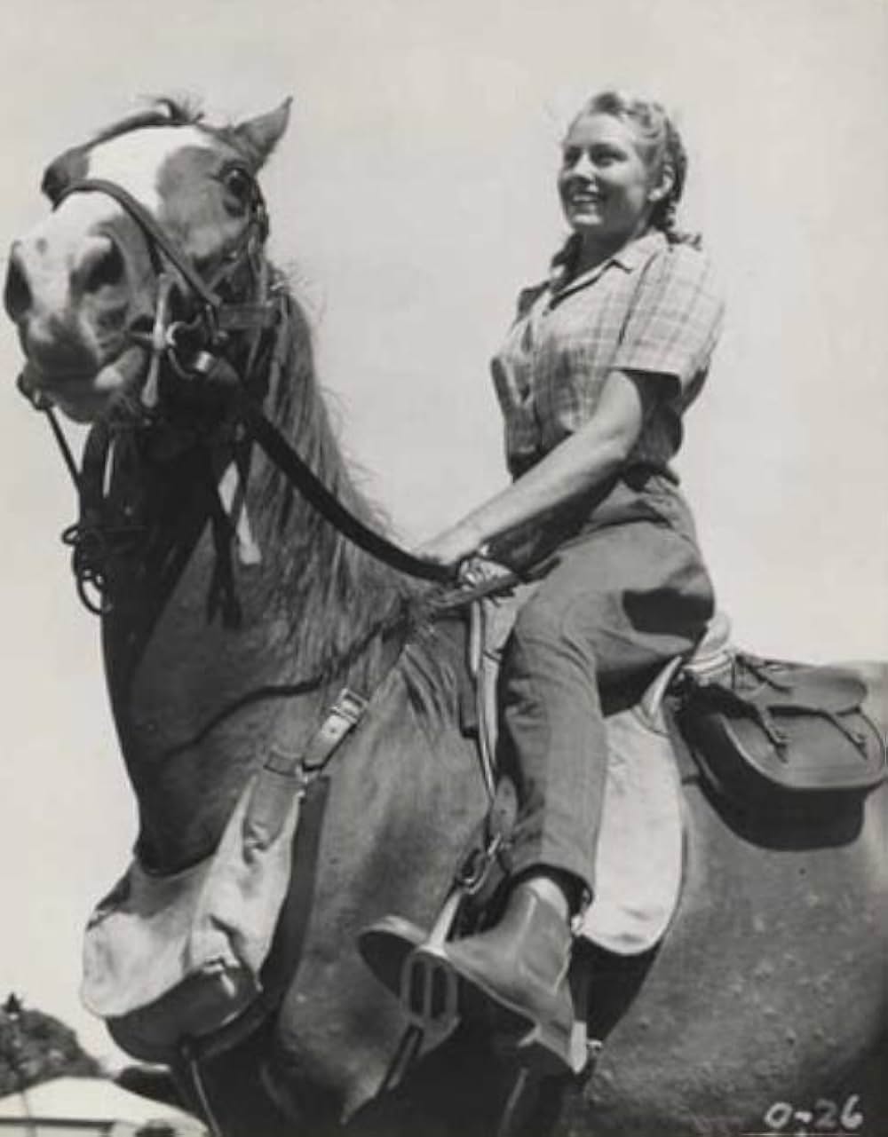 オヴァランダースの画像