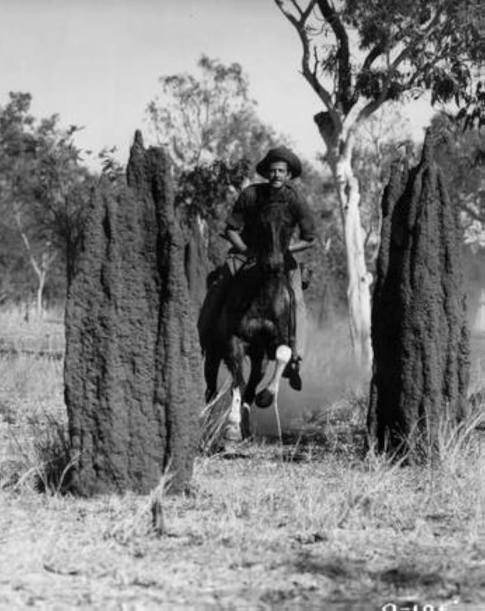 オヴァランダースの画像