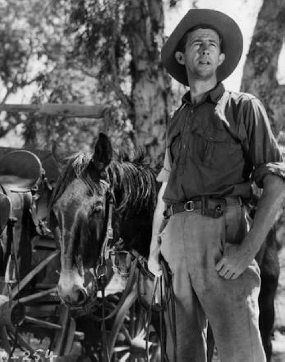 オヴァランダースの画像