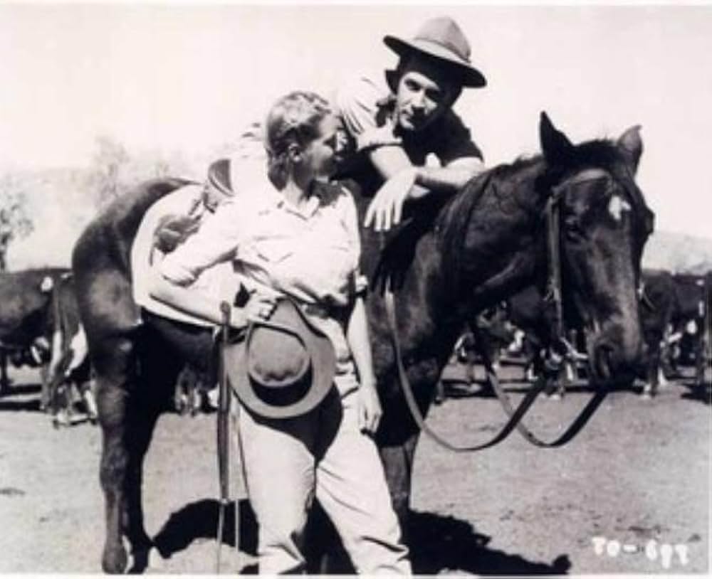 オヴァランダースの画像