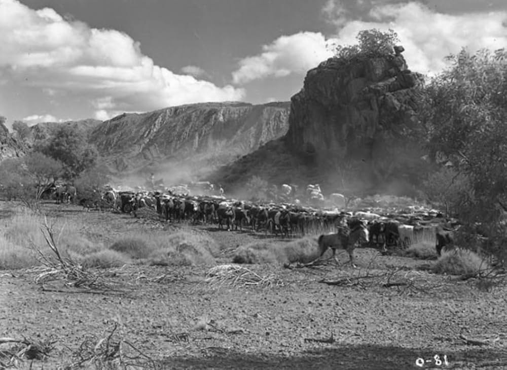 オヴァランダースの画像