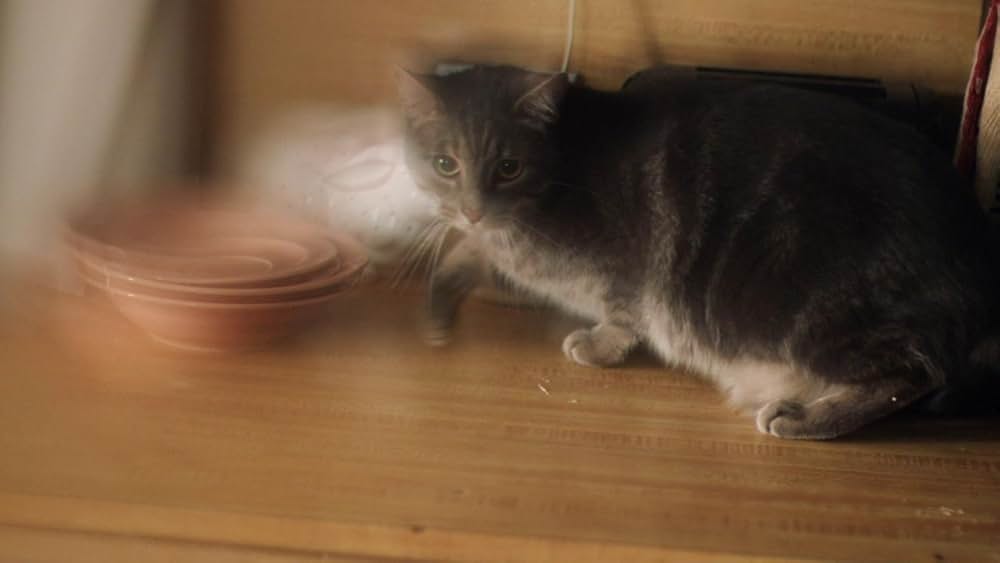 Madeline's Madeline（原題）の画像