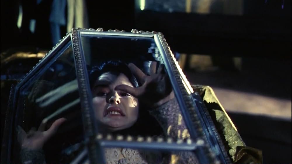 アナザー・サイド・ストーリー／ドラキュラ伝説の画像