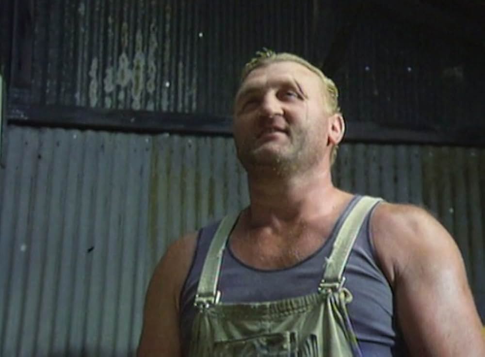 硝子のパートナーの画像