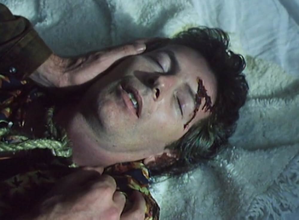 硝子のパートナーの画像