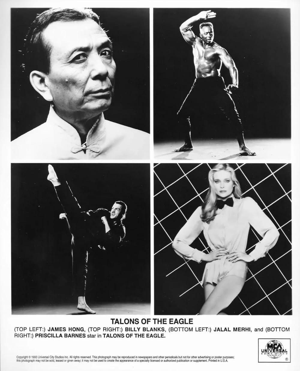 ビリー・ブランクス in ヴィクトリィィーッ！ キング・オブ・ドラゴンの画像