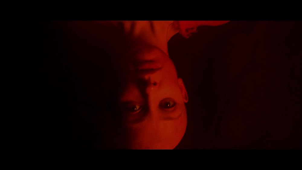 コッポラの胡蝶の夢の画像