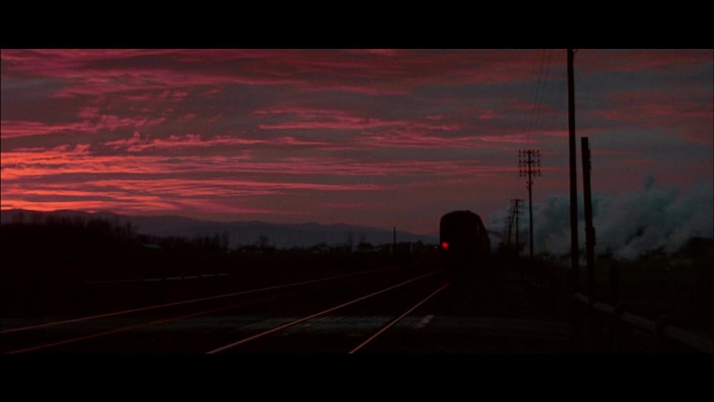 コッポラの胡蝶の夢の画像