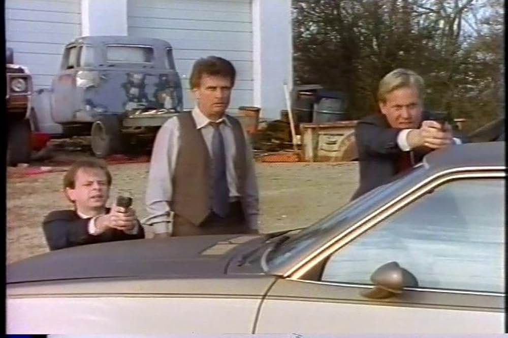 ガンシティの画像