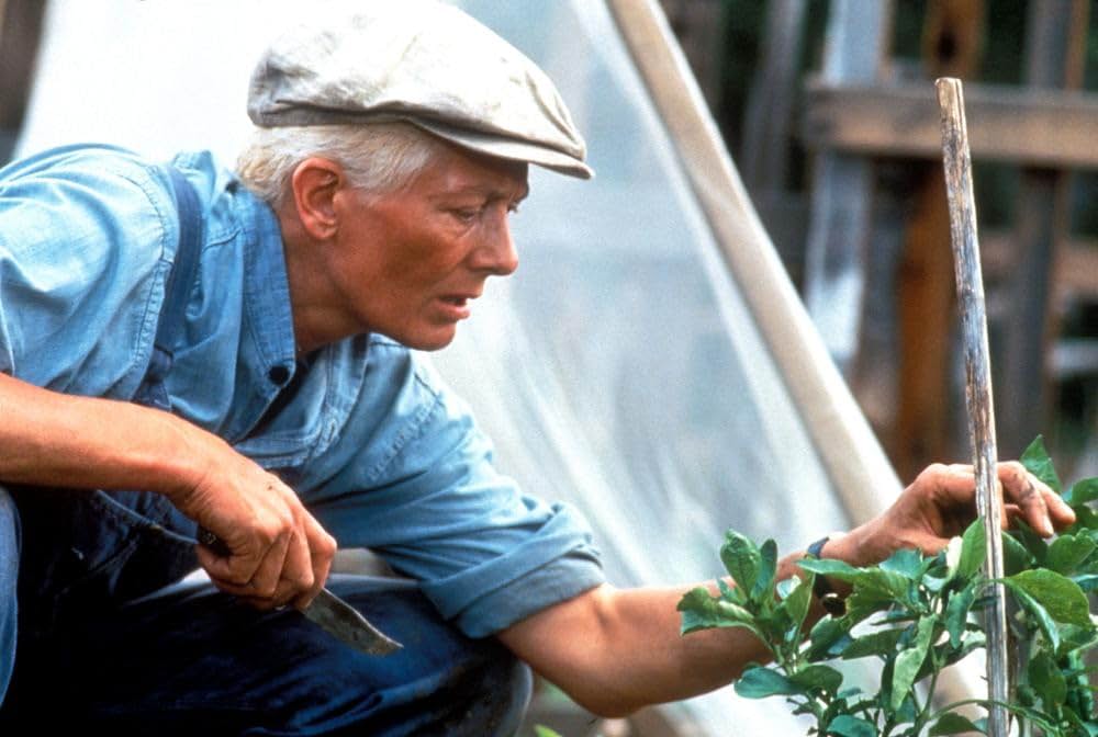 悲しき酒場のバラードの画像