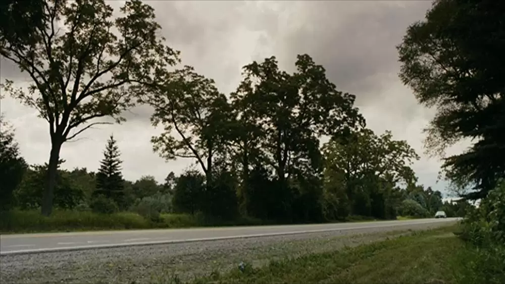 Youth in Revolt（原題）の画像