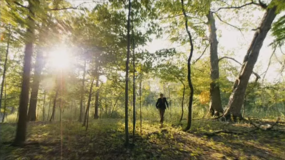 Youth in Revolt（原題）の画像