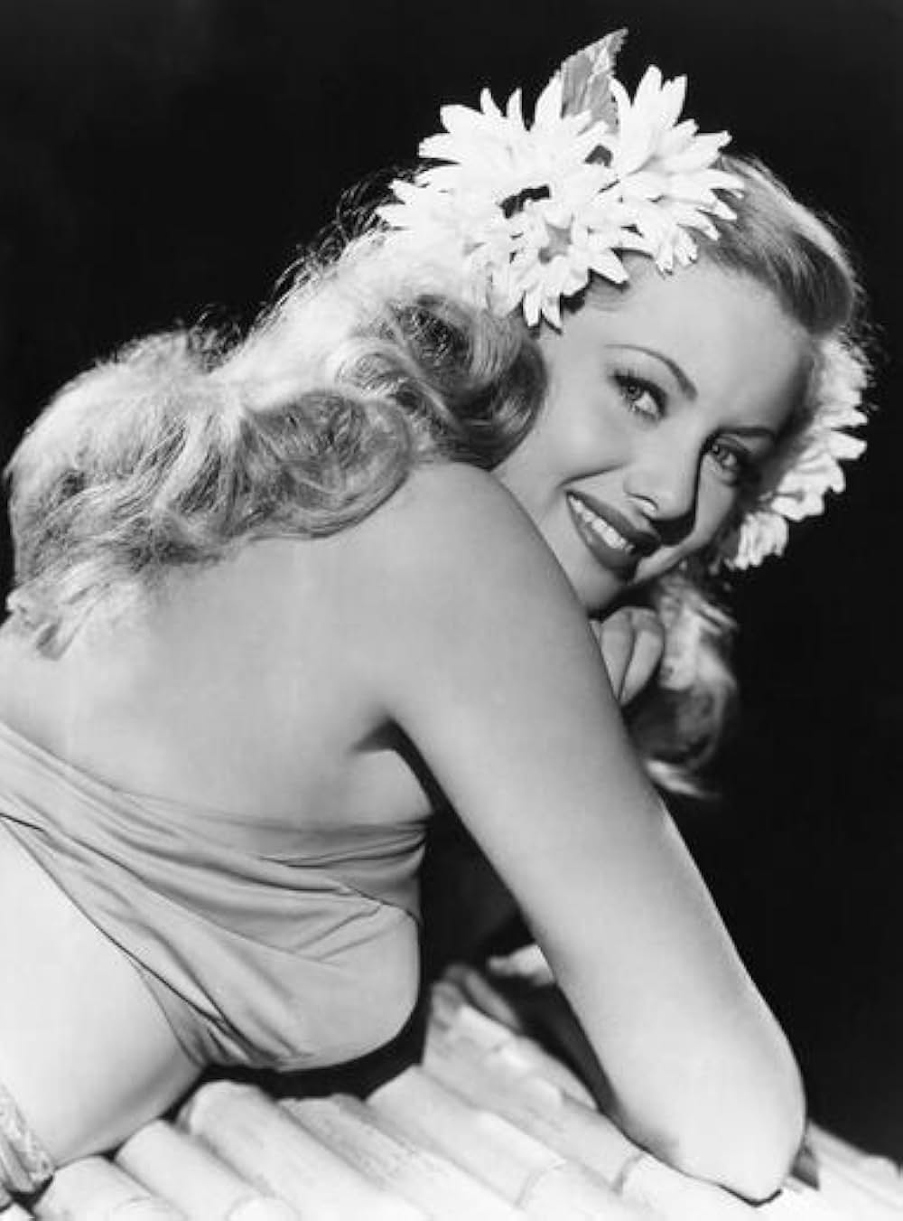 夜も昼もの画像