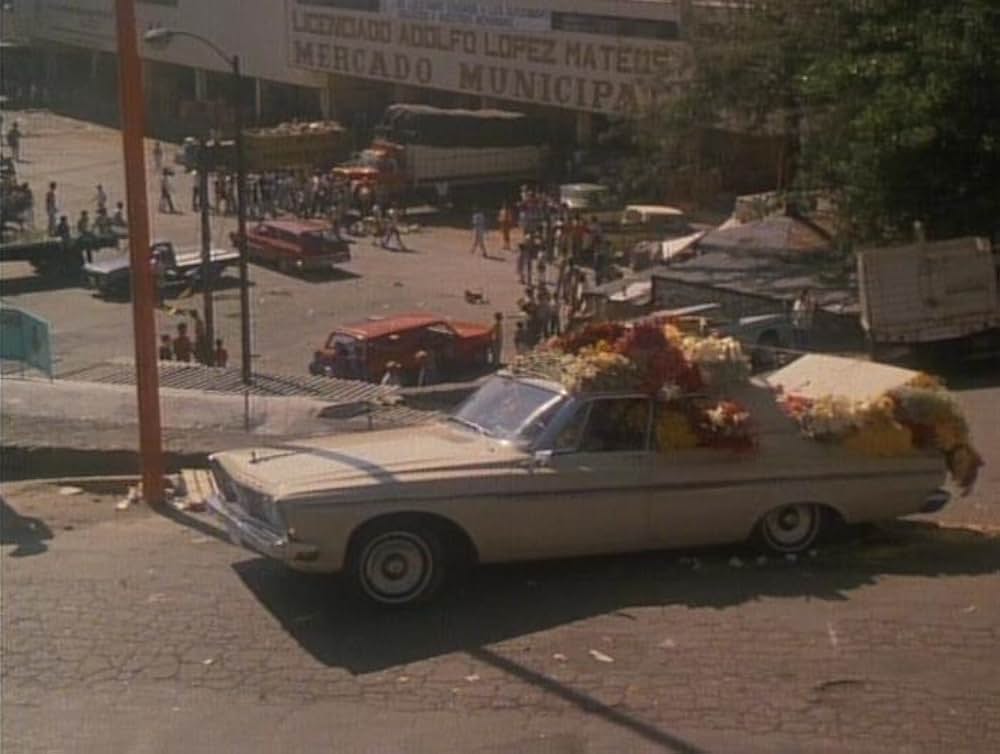 ギャビー、愛はすべてを越えての画像