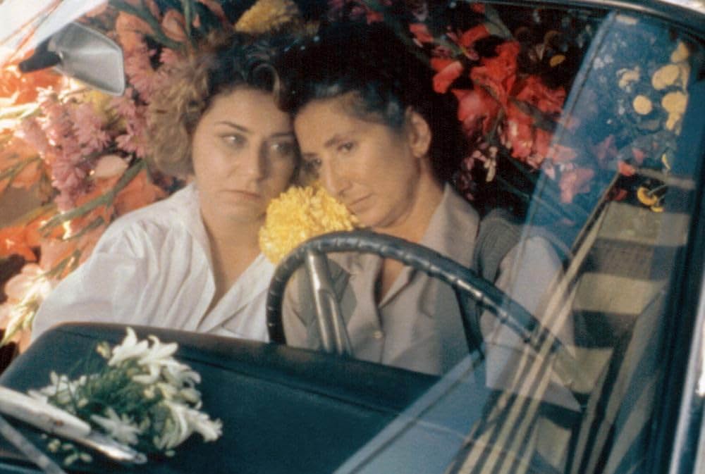 ギャビー、愛はすべてを越えての画像