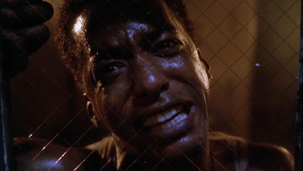 シャドー・ゾーンの画像