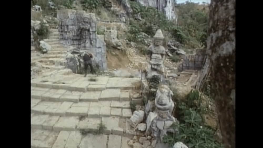 ジャングルウルフ／皆殺しの挽歌の画像