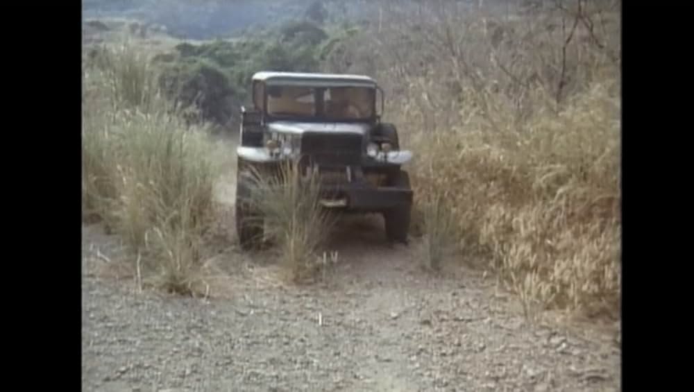 ジャングルウルフ／皆殺しの挽歌の画像