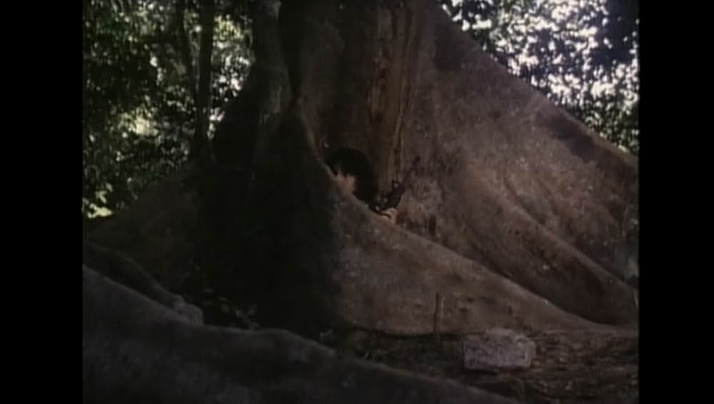 ジャングルウルフ／皆殺しの挽歌の画像