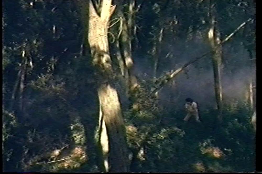 「ナイト・ウォーズ」の画像